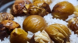 Thumbnail of post image 032